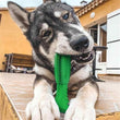 Hunde Tandbørste